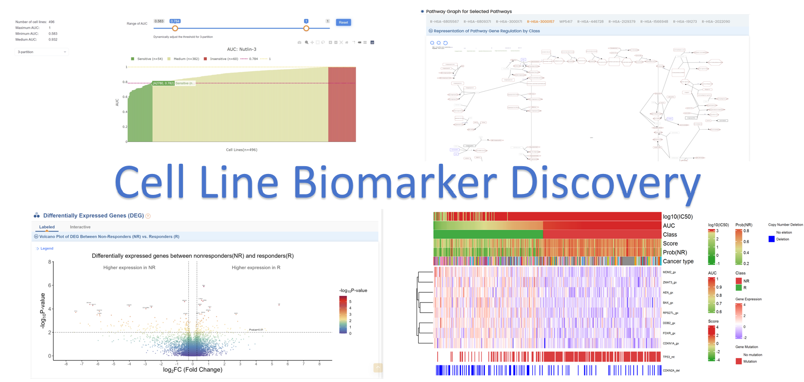Streamlining Biomarker Discovery: A Standardized Multi-Omics Pipeline for Cell Line Analysis