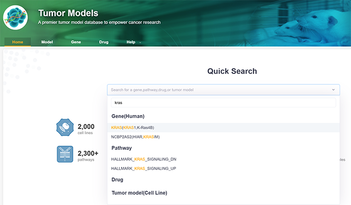 How to Search for Cell Lines with a Mutation