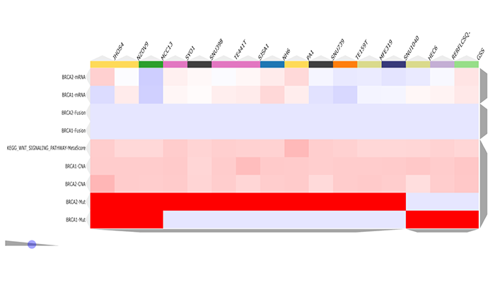 Combination Search 2 - BRCR Mutation and WNT Pathway Activation