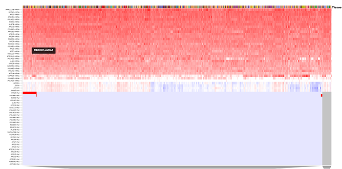 How to Get Expression for Many Genes
